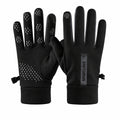 Winter Gloves for Men